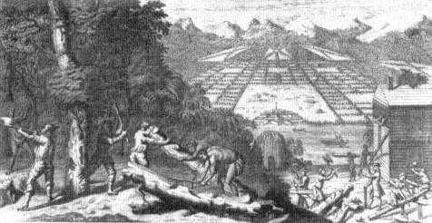 Early settlers tending vineyards in the Cape Colony